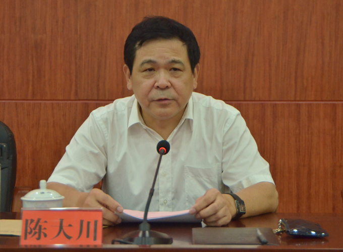 副院长陈大川主持会议并作总结讲话